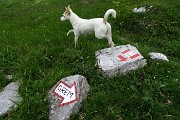 73 Entriamo nel 263 per bivacchi  Mistri e Telini